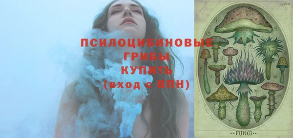 mdpv Гусь-Хрустальный