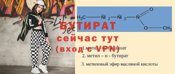 шишки Гусев