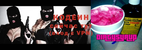 шишки Гусев