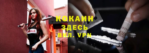 молекула духа Всеволожск