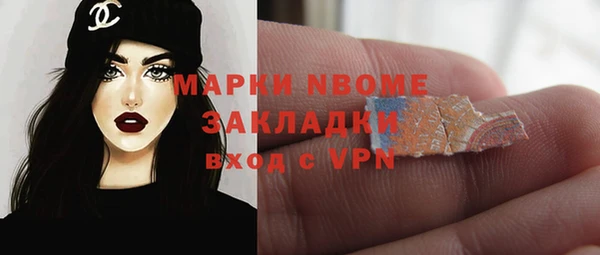 шишки Гусев