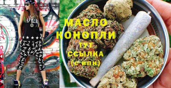 шишки Гусев