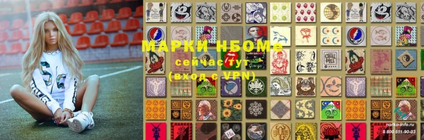 шишки Гусев