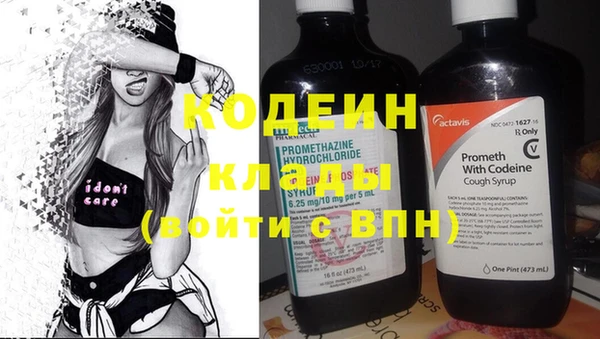 шишки Гусев
