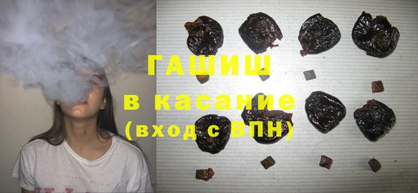 шишки Гусев