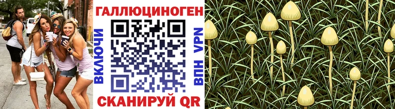 Галлюциногенные грибы ЛСД  Донецк 